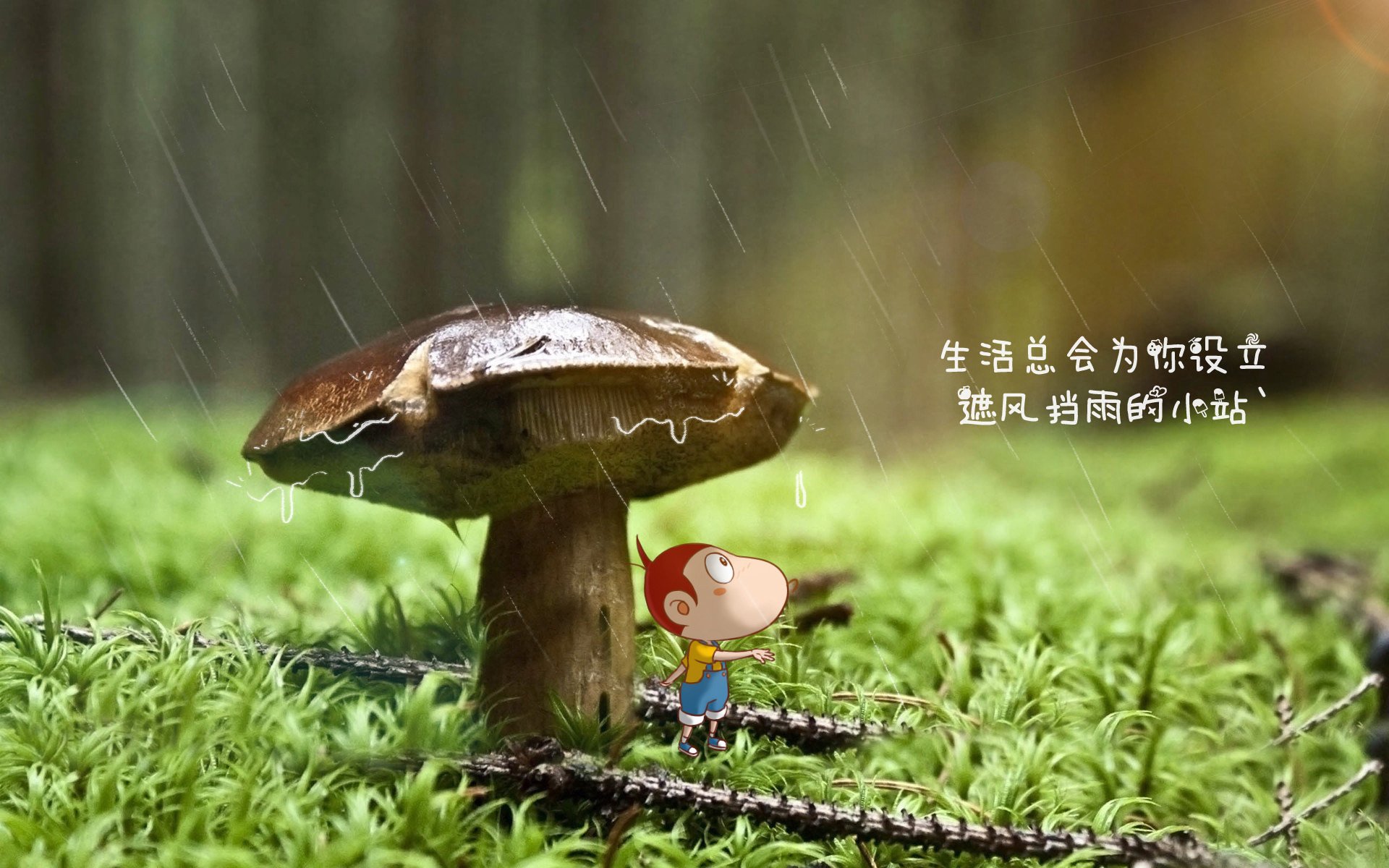 爱游戏登录入口-“德甲豪门纷纷发力，追逐联赛冠军”，德甲曾经的豪门