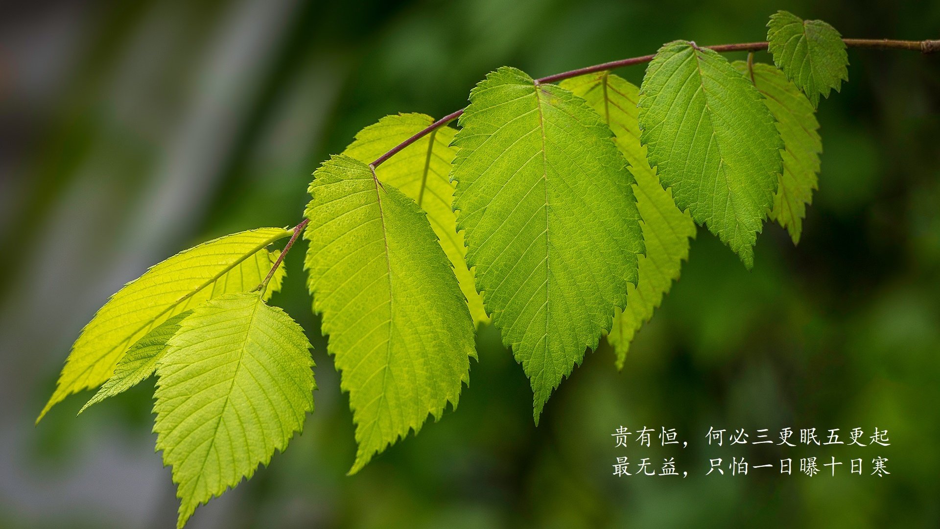 《CS_GO全球巡回大奖赛，总奖金高达千万美元》，csgo全球总决赛历届冠军