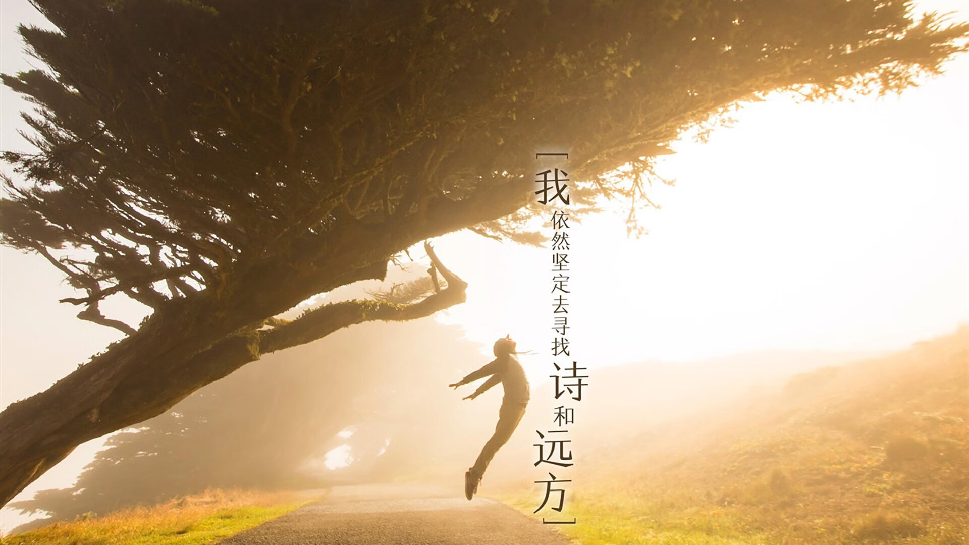爱游戏电竞官网-电动动力系统：开启绿色赛车新时代，绿色动力汽车