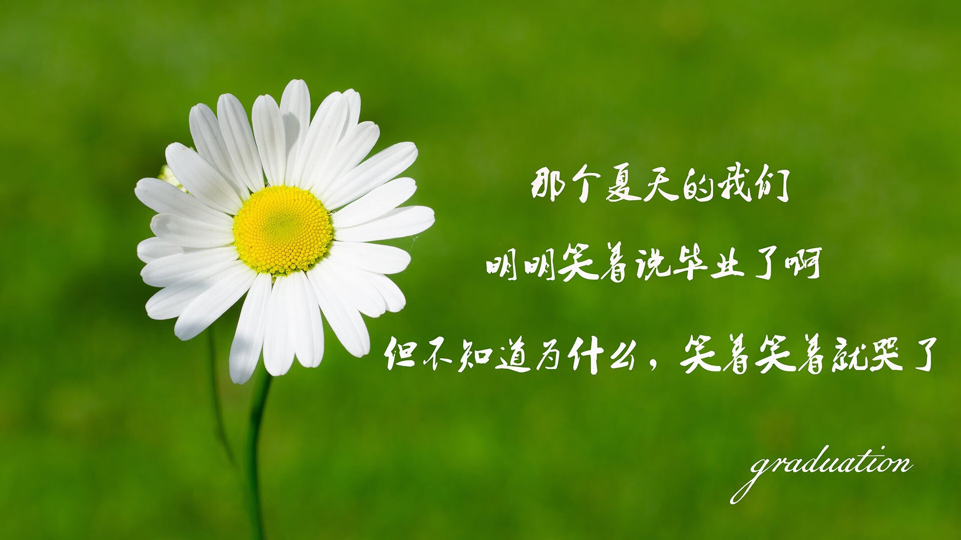 热火队主教练强调团队合作，提升球队整体实力，热火队队员介绍