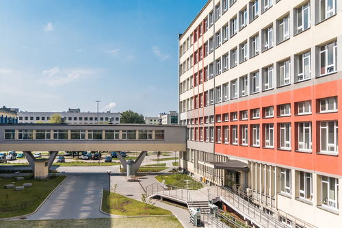 爱游戏体育APP下载-中国青少年篮球课程体系现代化建设，《中国青少年篮球训练教学大纲(2013版)》