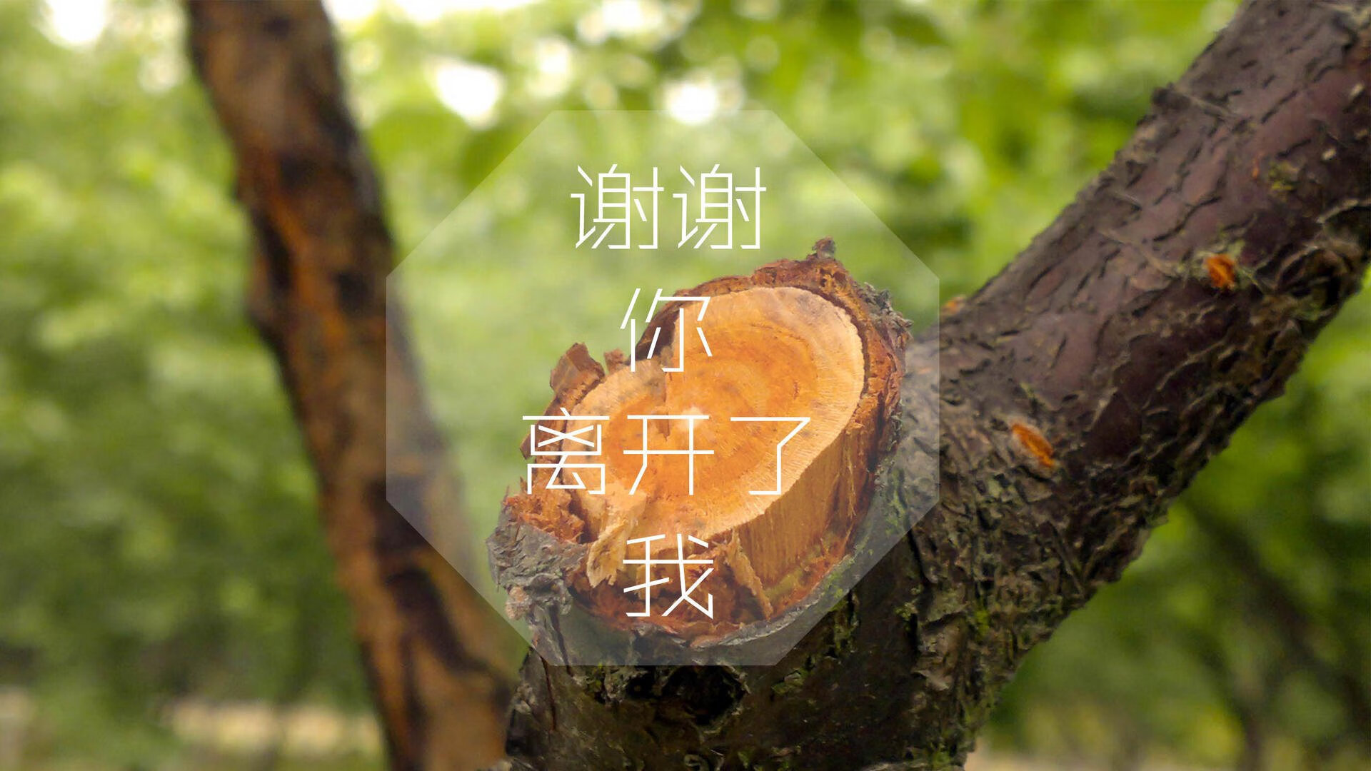 爱游戏官方-俱乐部忽略球迷社群建设，俱乐部忽略球迷社群建设怎么办
